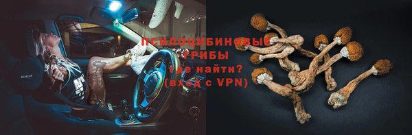 мет Арсеньев