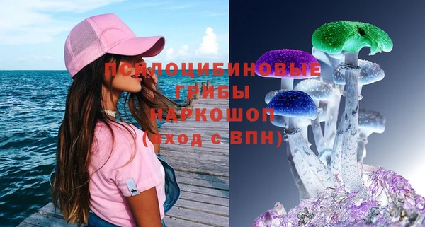 мет Арсеньев