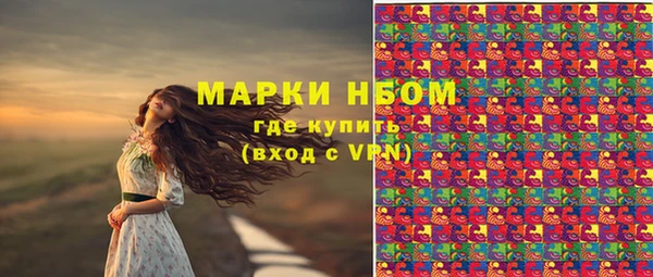 мет Арсеньев