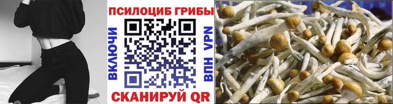 Псилоцибиновые грибы Magic Shrooms  как найти закладки  Биробиджан 