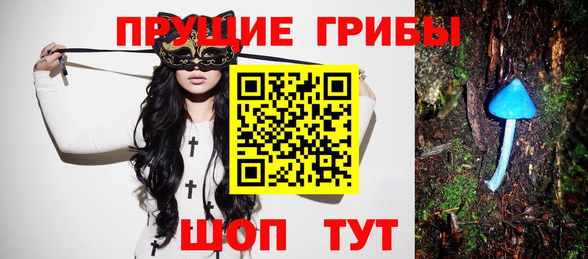 Биробиджан  Галлюциногенные грибы прущие грибы  купить   Галлюциногенные грибы Cubensis  Вход с VPN 