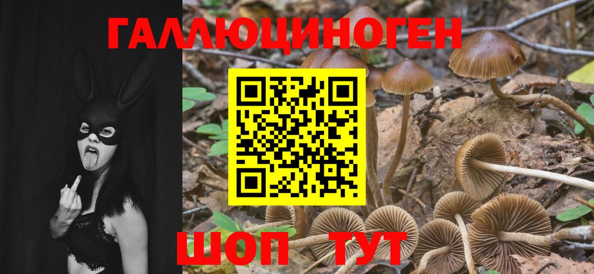 Галлюциногенные грибы прущие грибы Биробиджан